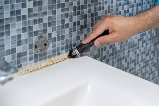 Best Office Mold Removal Services  in Rocklin, CA