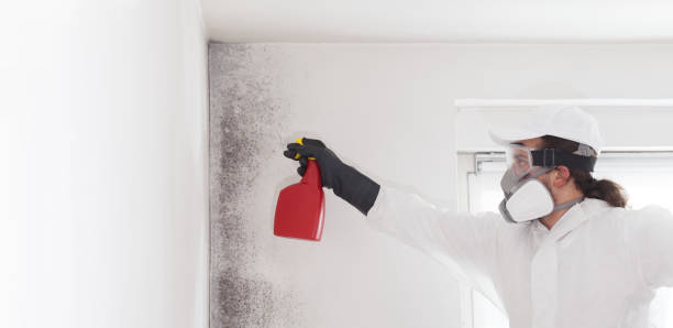 Best Crawl Space Mold Removal  in Rocklin, CA