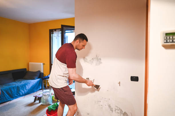 Best Toxic Mold Removal  in Rocklin, CA